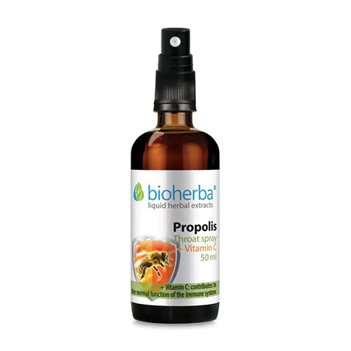 Propolis - permet.