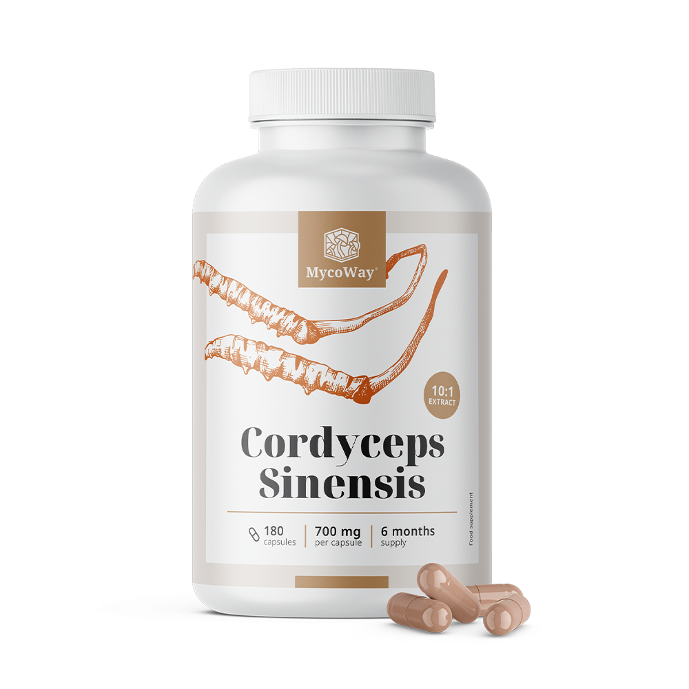 Cordyceps sinensis 1400 mg – 10:1 kivonat