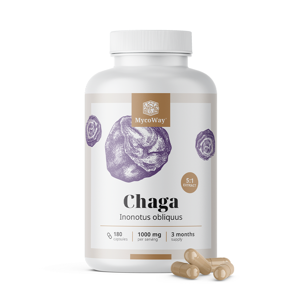 Chaga 1000 mg – 5:1 kivonat