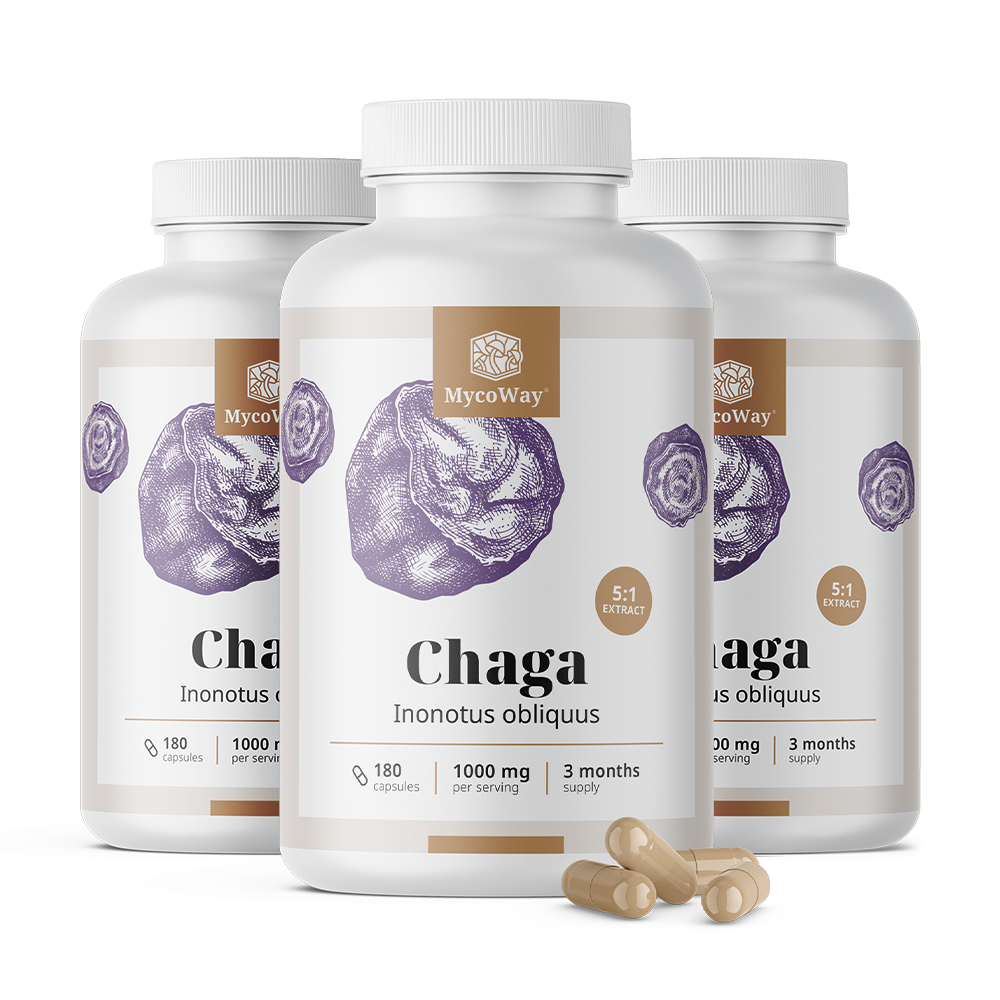 Chaga 1000 mg – 5:1 kivonat