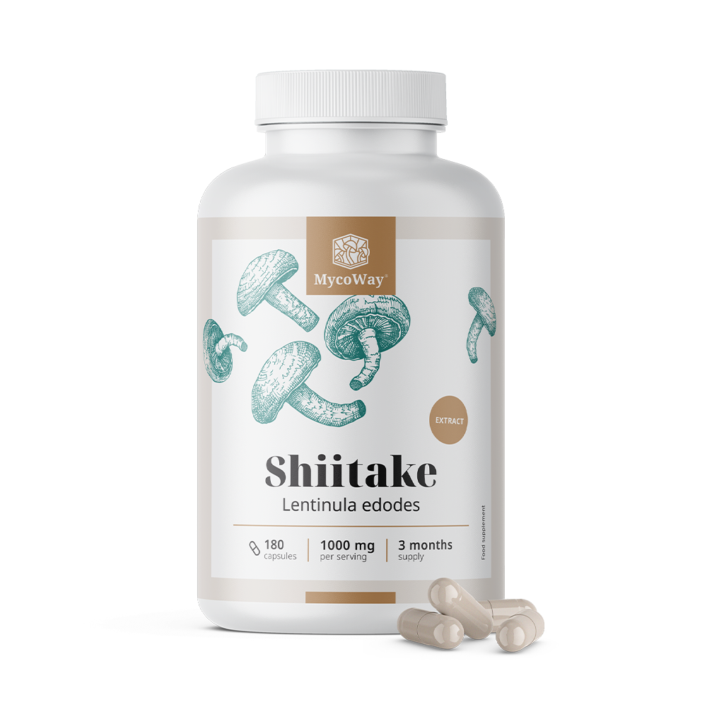 Shiitake 1000 mg - kivonat