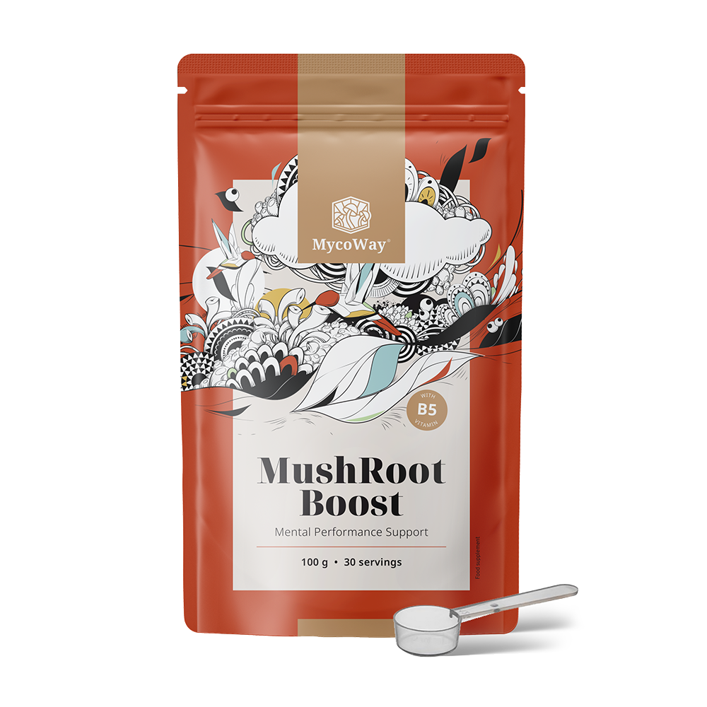 MushRoot Boost – ital a szellemi teljesítményhez