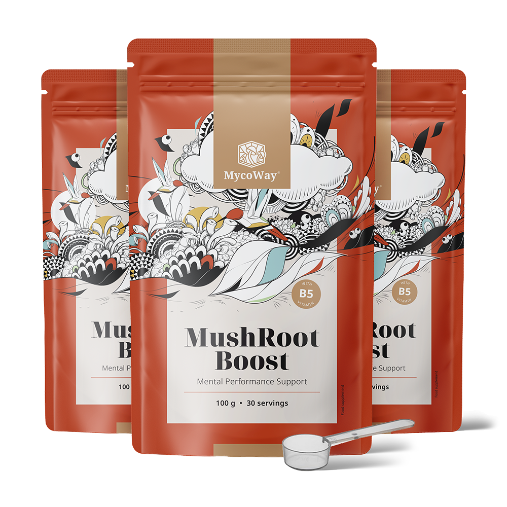 MushRoot Boost - ital az agy teljesítményének növelésére